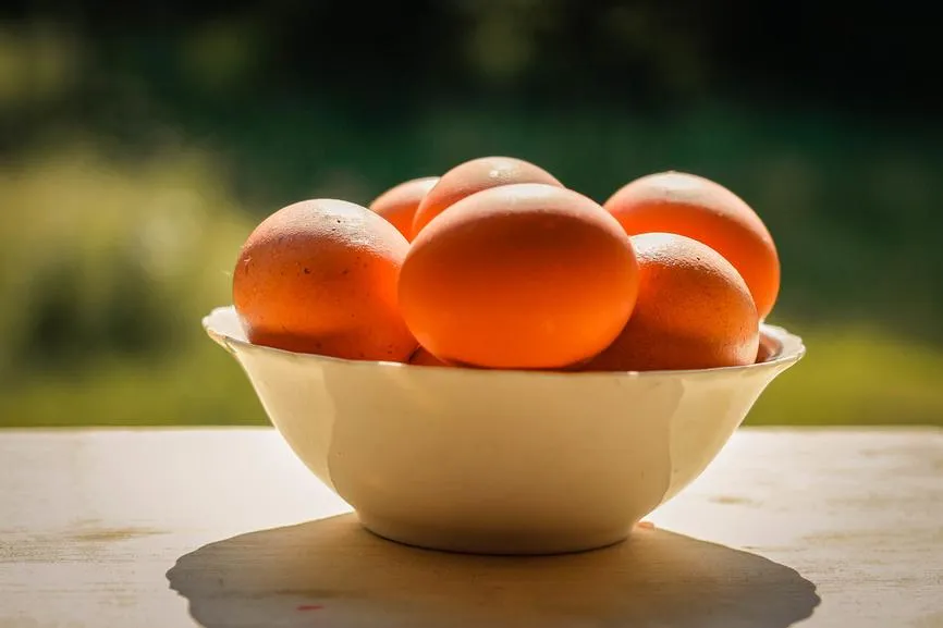 Марина Демидюк / Фотобанк Лори