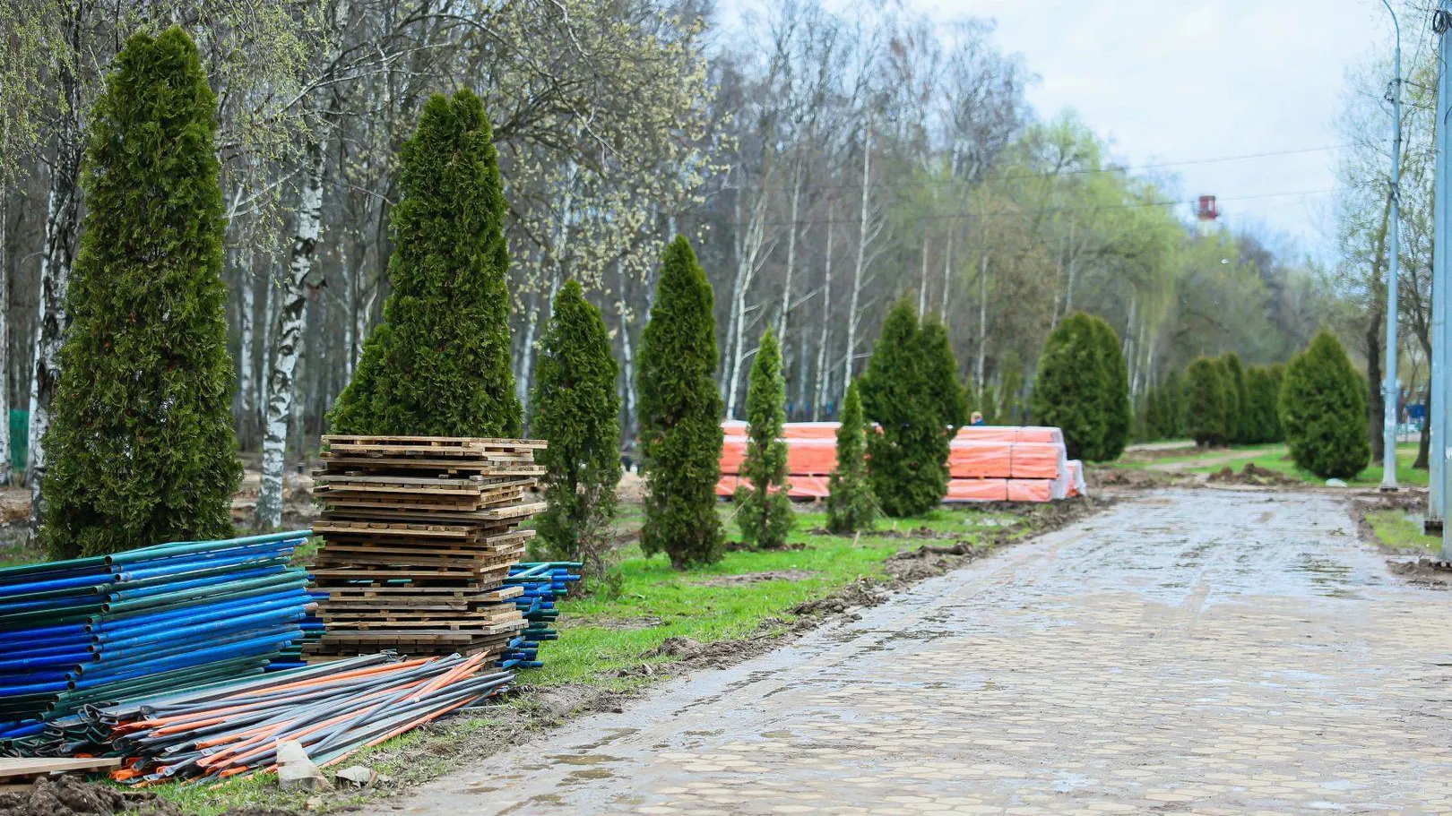 В Подмосковье опубликовали 53 закупки за прошедшую неделю