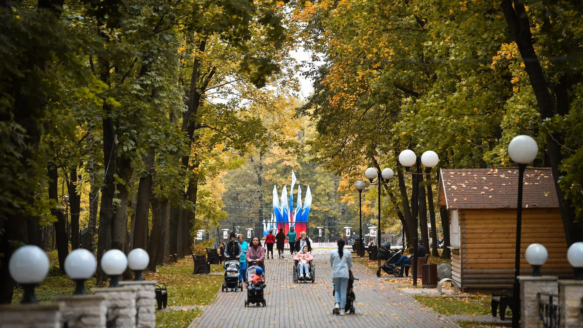 Жителям Подмосковья напомнили о мерах предосторожности при посещении парков