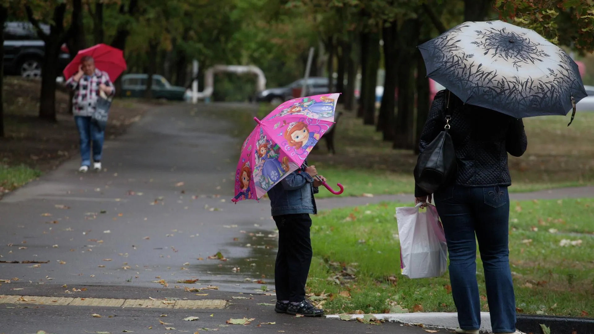 Небольшие дожди и до плюс 16 градусов ожидается в субботу в Московском регионе