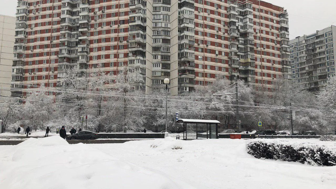 В День святого Валентина погода порадует жителей Московского региона небольшим морозом
