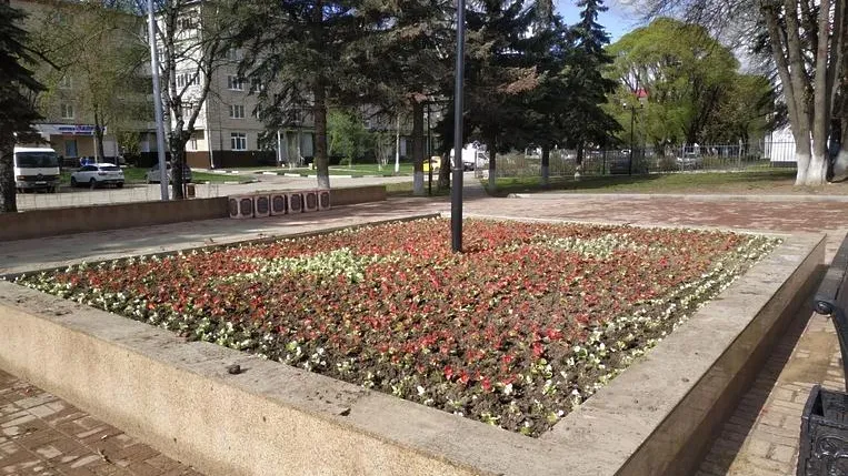 Кусты кизильника высадили у памятника ВОВ в микрорайоне Климовск Подольска