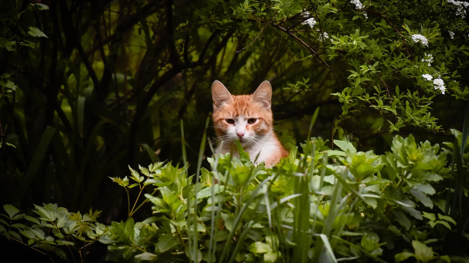 До 20 градусов тепла ожидается в Московском регионе во вторник