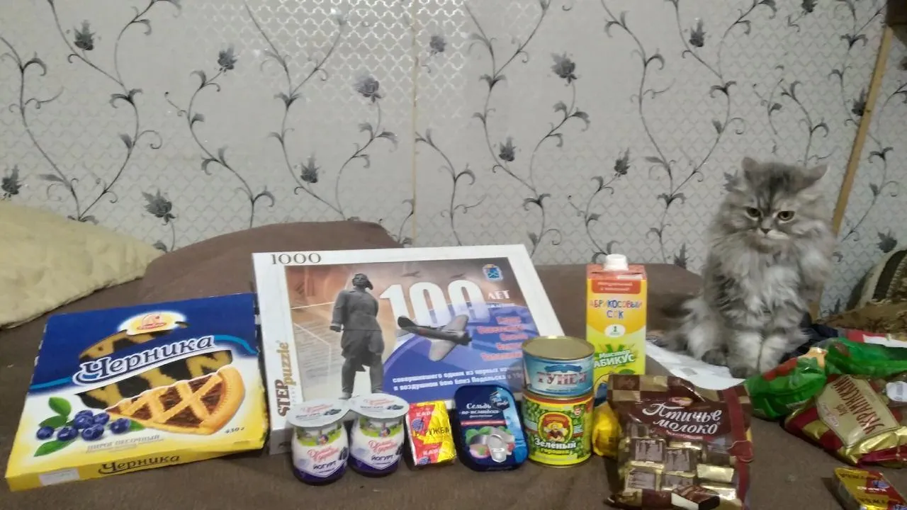 Волонтеры Подольска передали вещи и обувь семье погорельцев