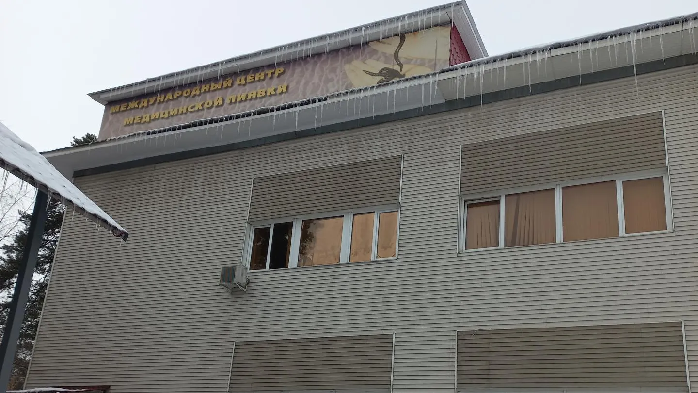 Международный центр в Раменском увеличивает объемы выращивания медицинских пиявок
