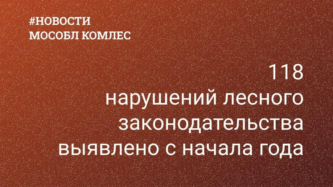 В Подмосковье лесничие выявили 118 нарушений лесного законодательства с начала года