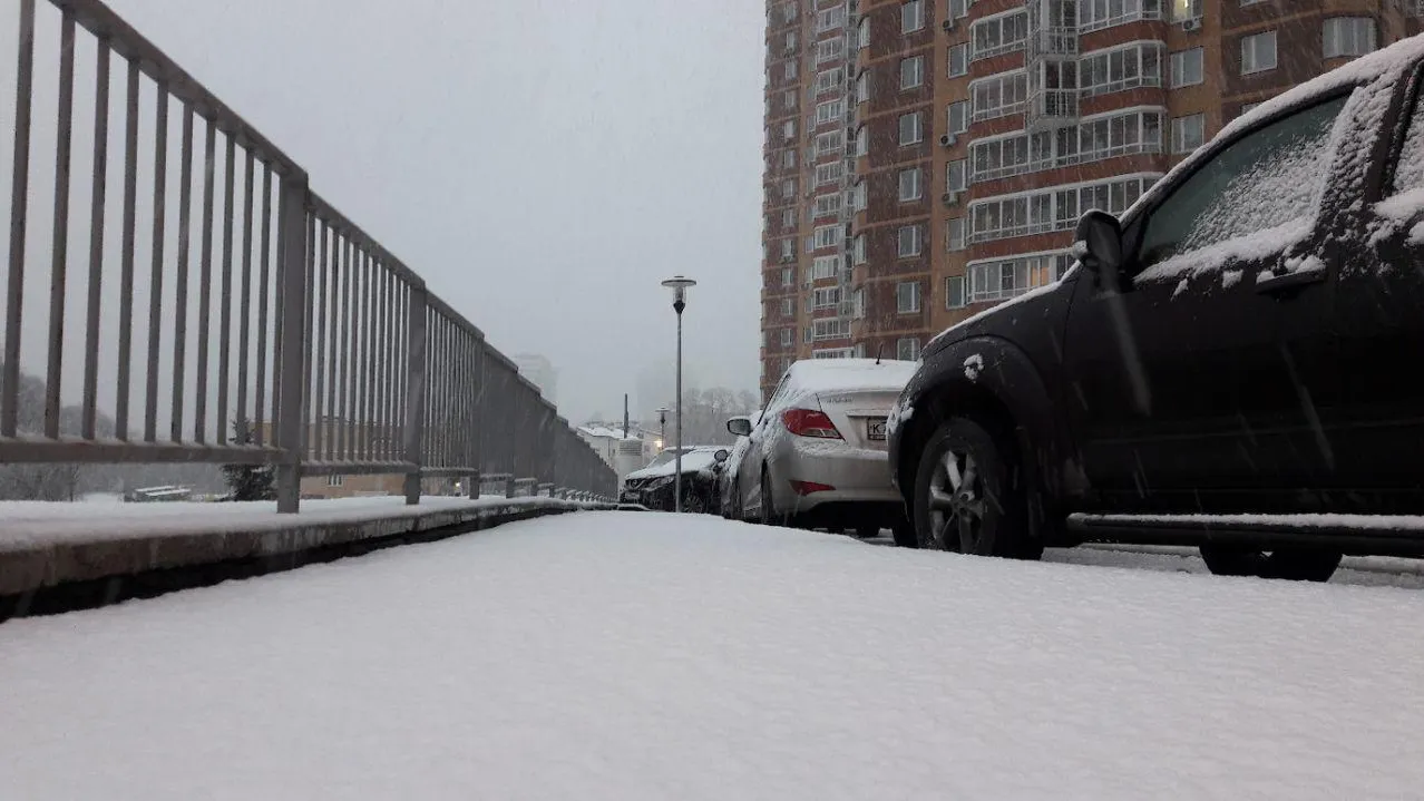 Выпавший в Московском регионе снег  может пролежать несколько дней