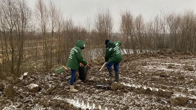 Организатора незаконной свалки в Химках оштрафовали на 20 млн рублей