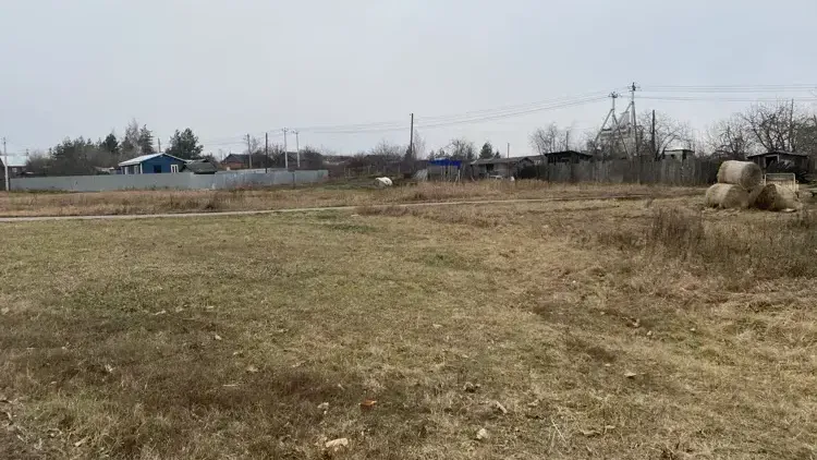 Еще более 140 земельных участков в аренду выставили на торги в Подмосковье