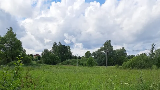 Самый бюджетный участок реализовали на торгах в Серебряных Прудах за 19 тыс рублей