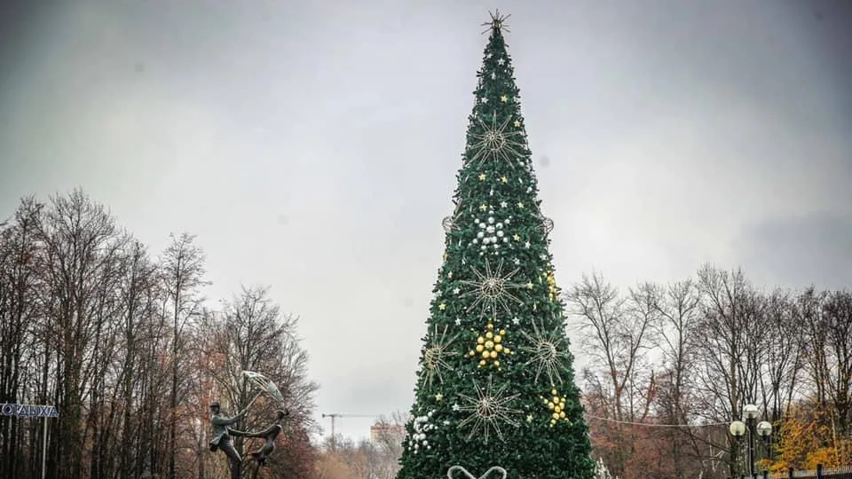 177 новогодних елей установят в Люберцах