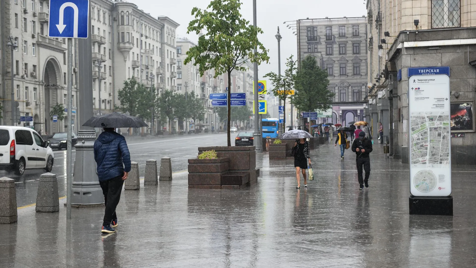 Дожди в Московском регионе снизят степень пожарной опасности