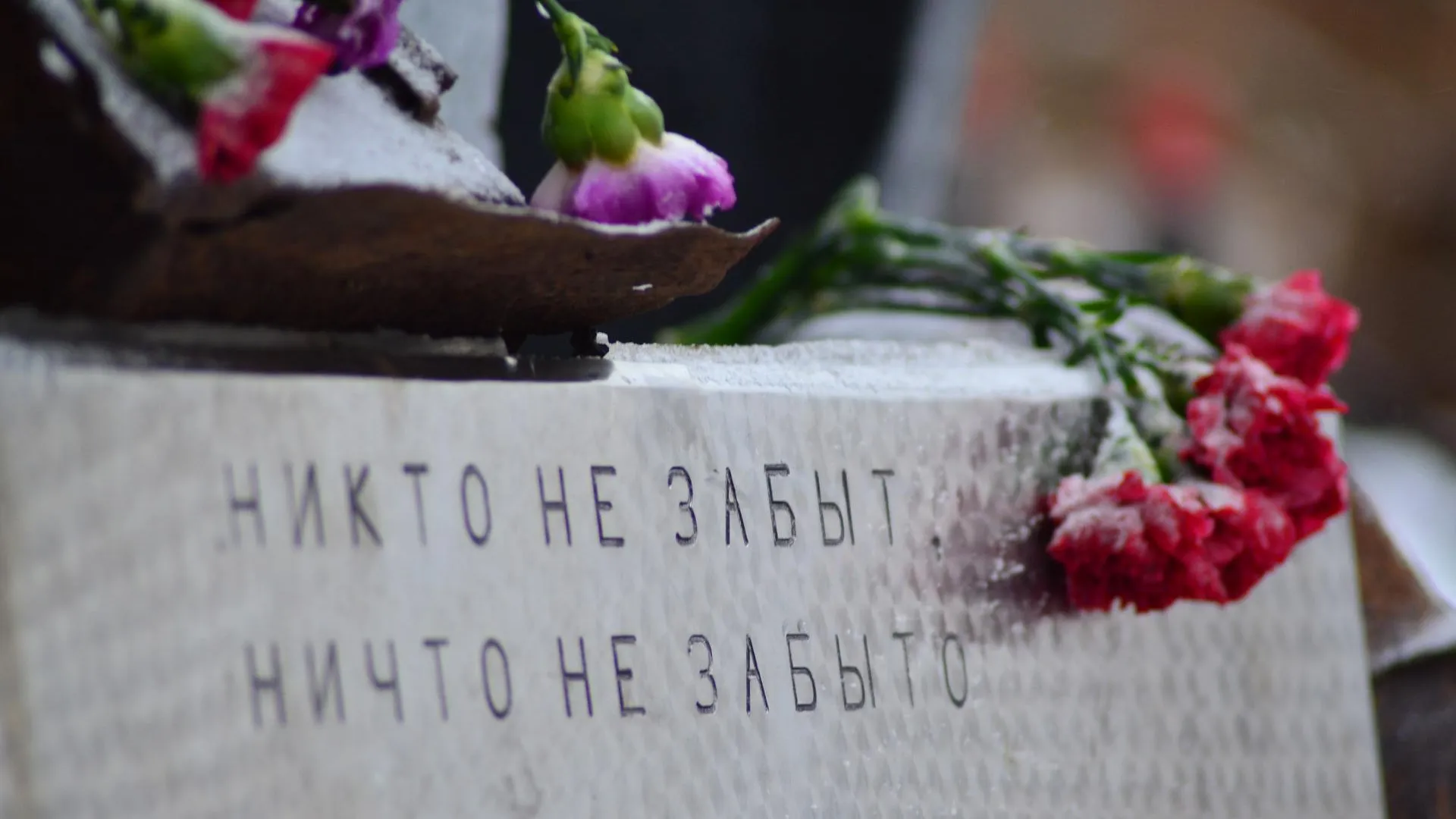 Руководитель поискового отряда: «Мы хотим вернуть погибшим бойцам их имена, их историю»