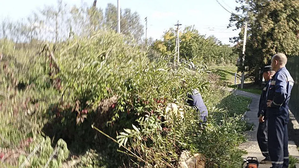В округе Ступино провели очистку заболоченного ручья