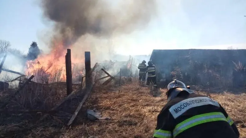 Жителям Балашихи напомнили о последствиях выжигания сухой травы