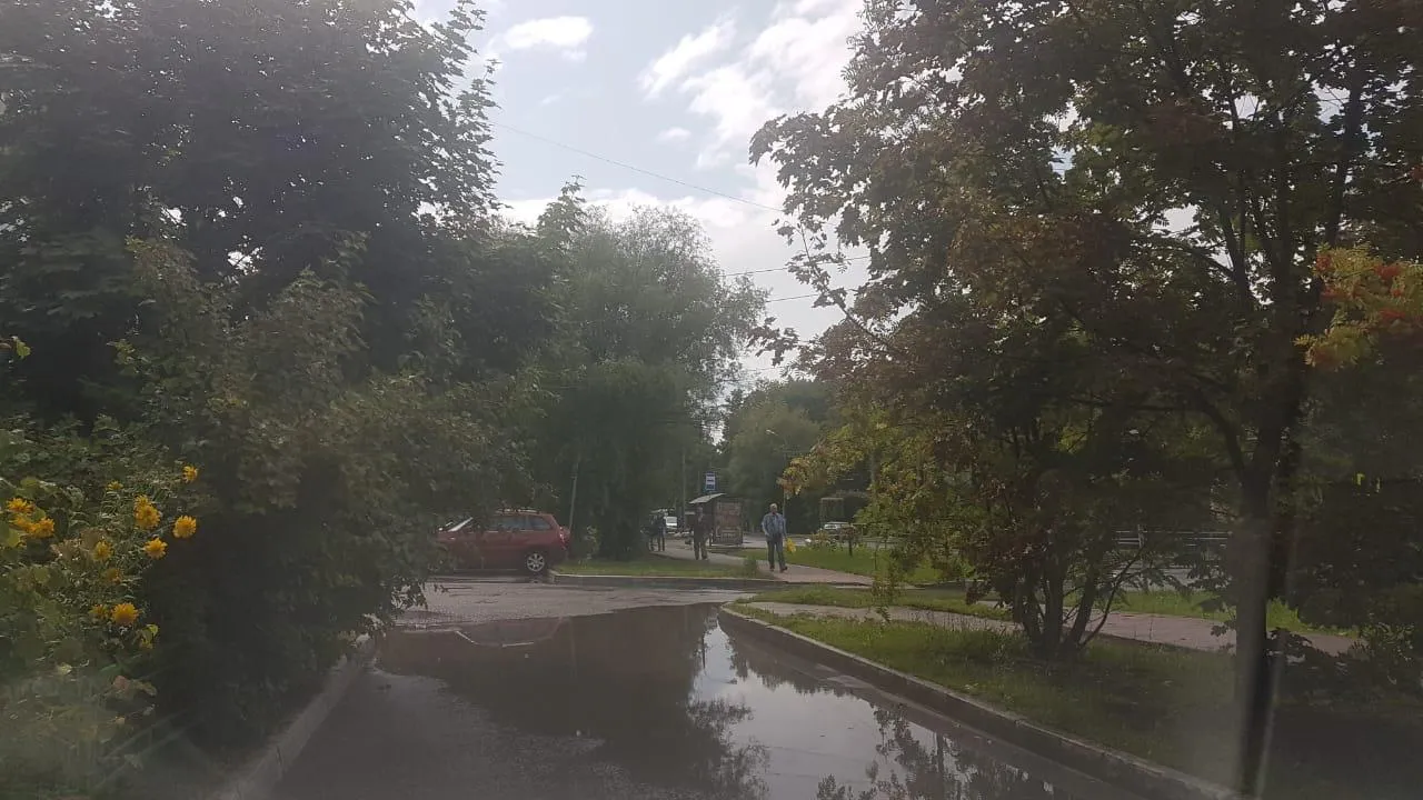 Ливневую канализацию очистят в Чехове