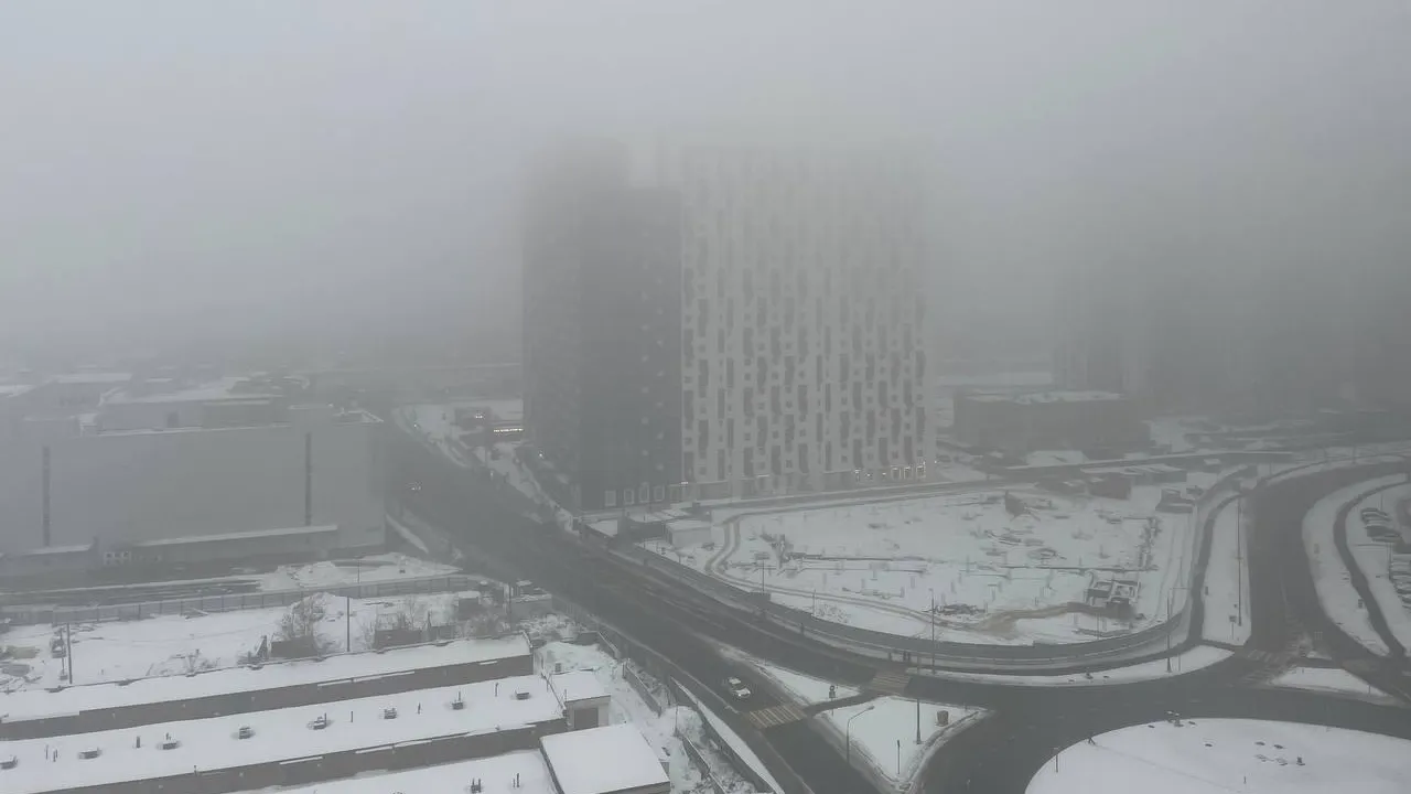 Туман с видимостью 200 м образовался в Подмосковье