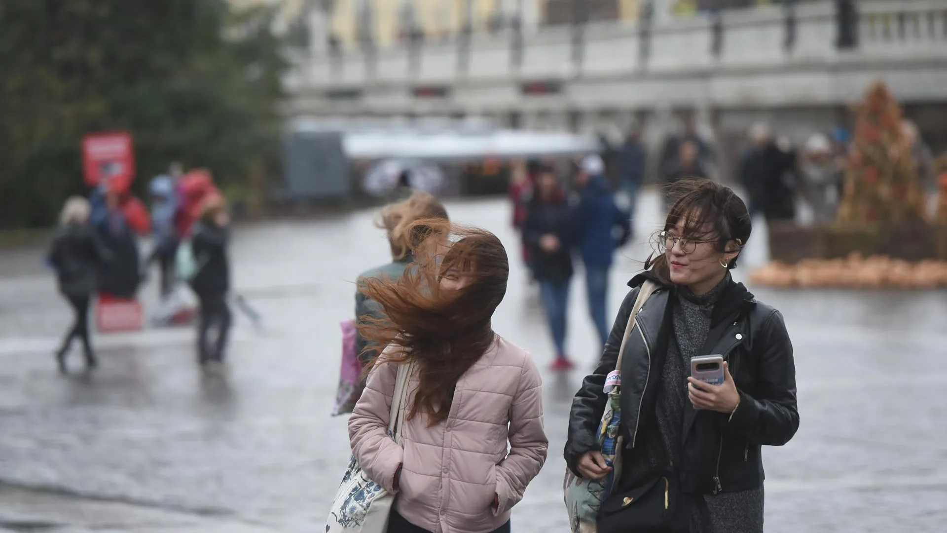 «Желтый» уровень опасности погоды из‑за ветра объявили в Московском регионе