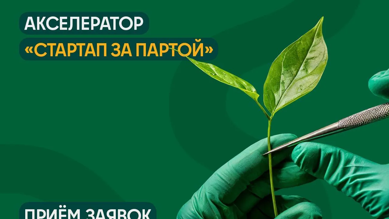 Школьники из Подмосковья могут стать стартаперами в новом сезоне акселератора