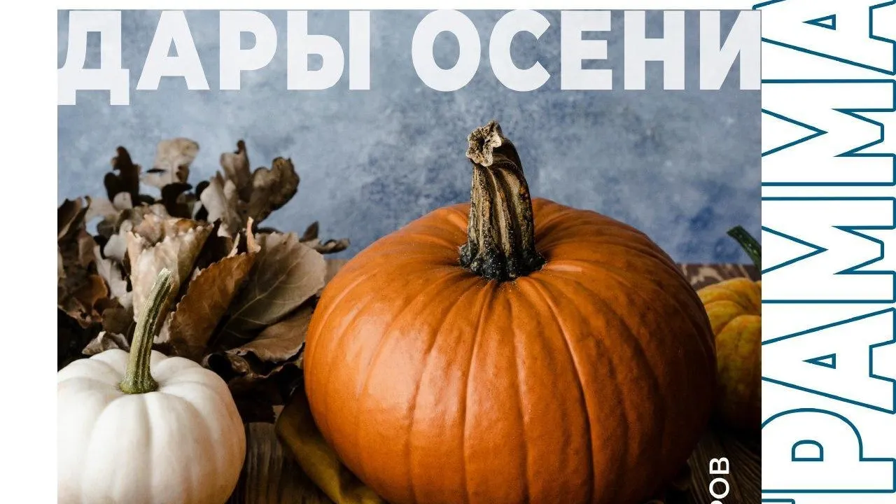 В Дмитрове 30 сентября пройдет праздник «Дары осени»