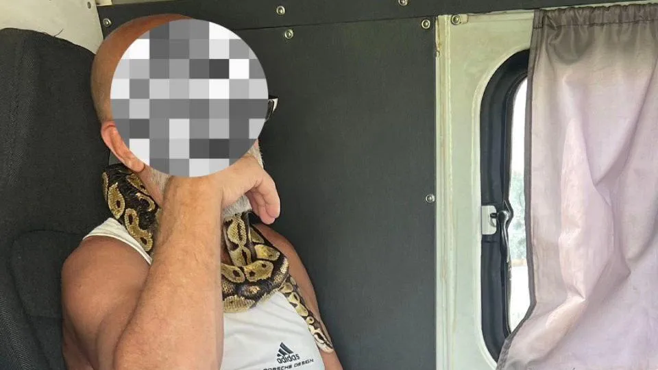 Обычный четверг на Камчатке: пьяный бесправник приехал в полицию со змеей на шее