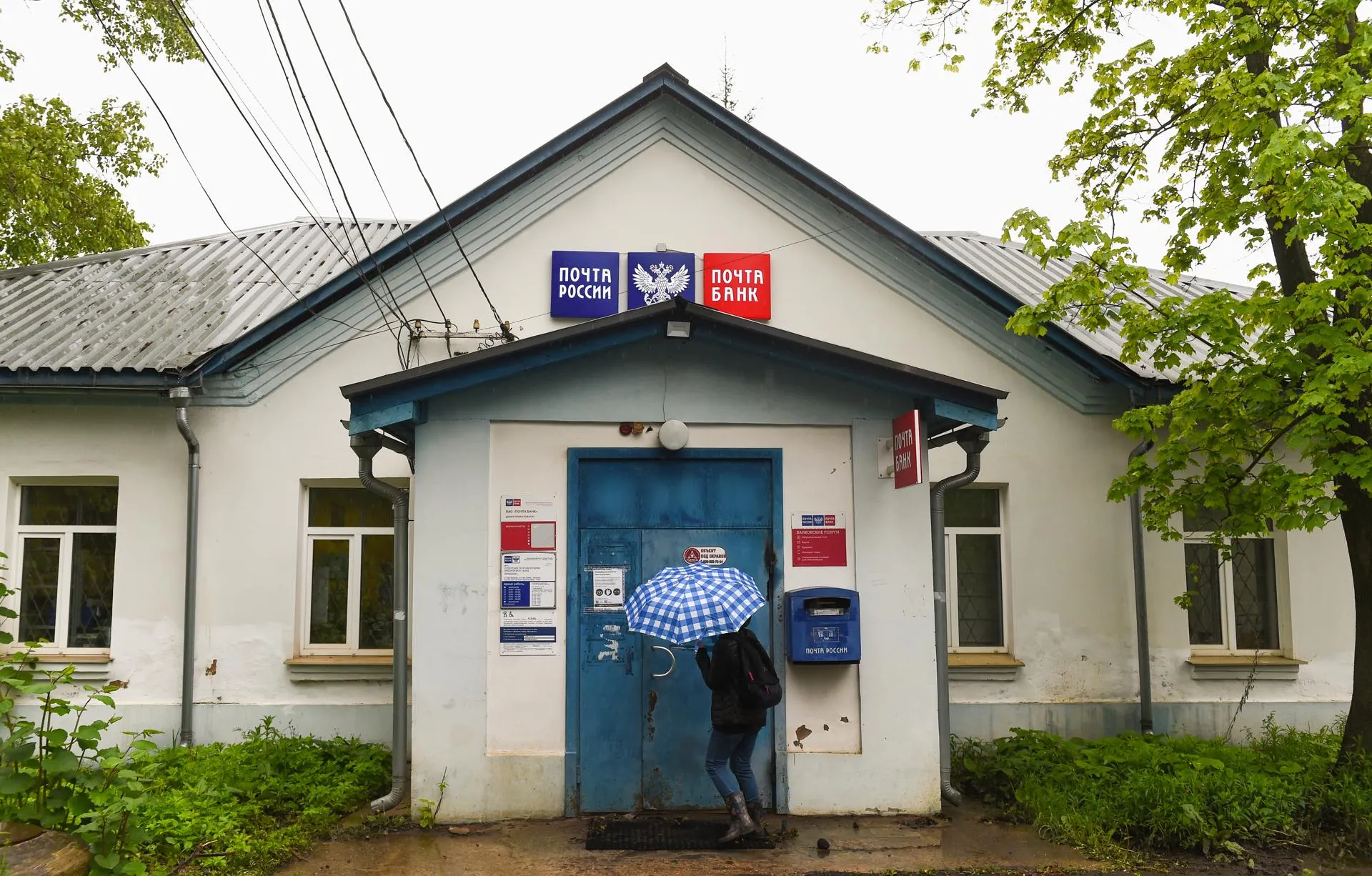 Александр Манзюк