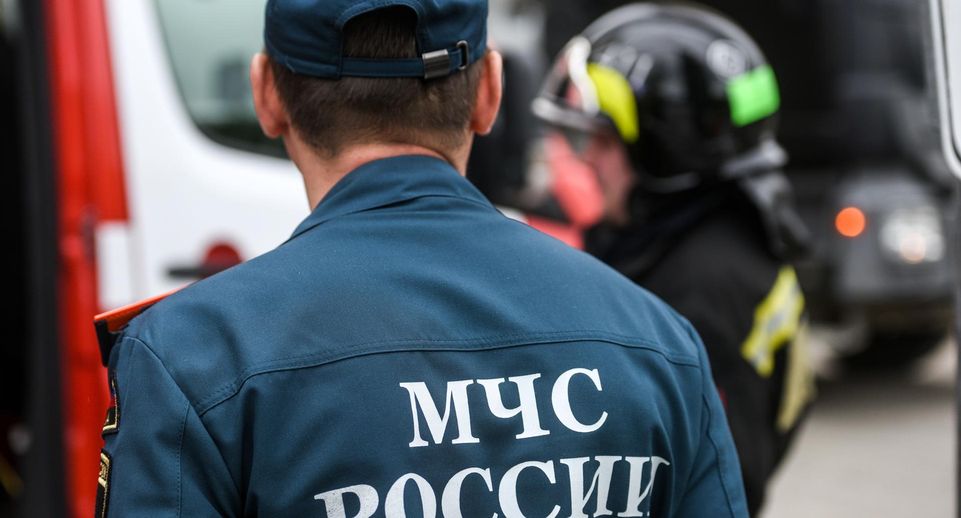 МЧС: 3 человека погибли в ДТП в Подмосковье за сутки