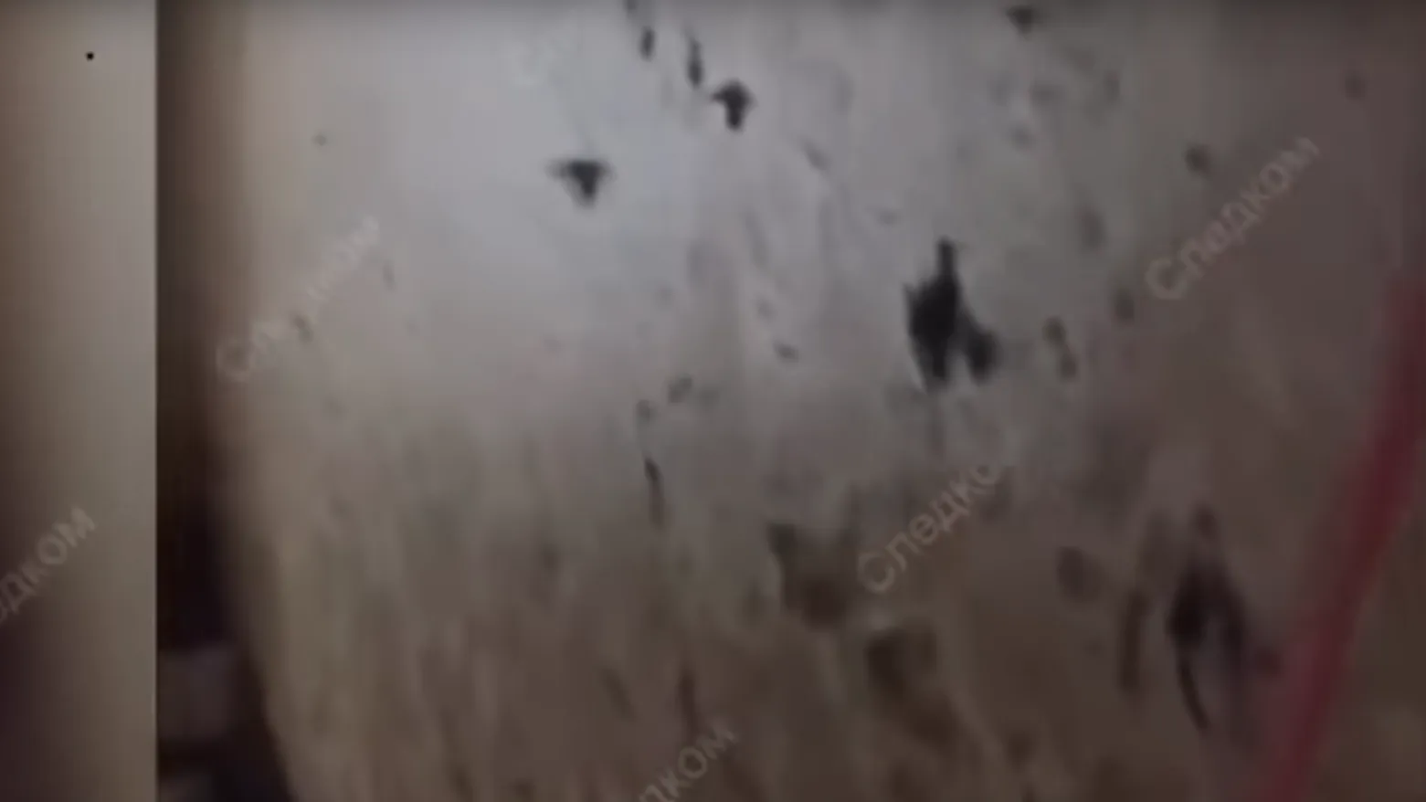 Видео из квартиры в Подмосковье, где произошёл взрыв