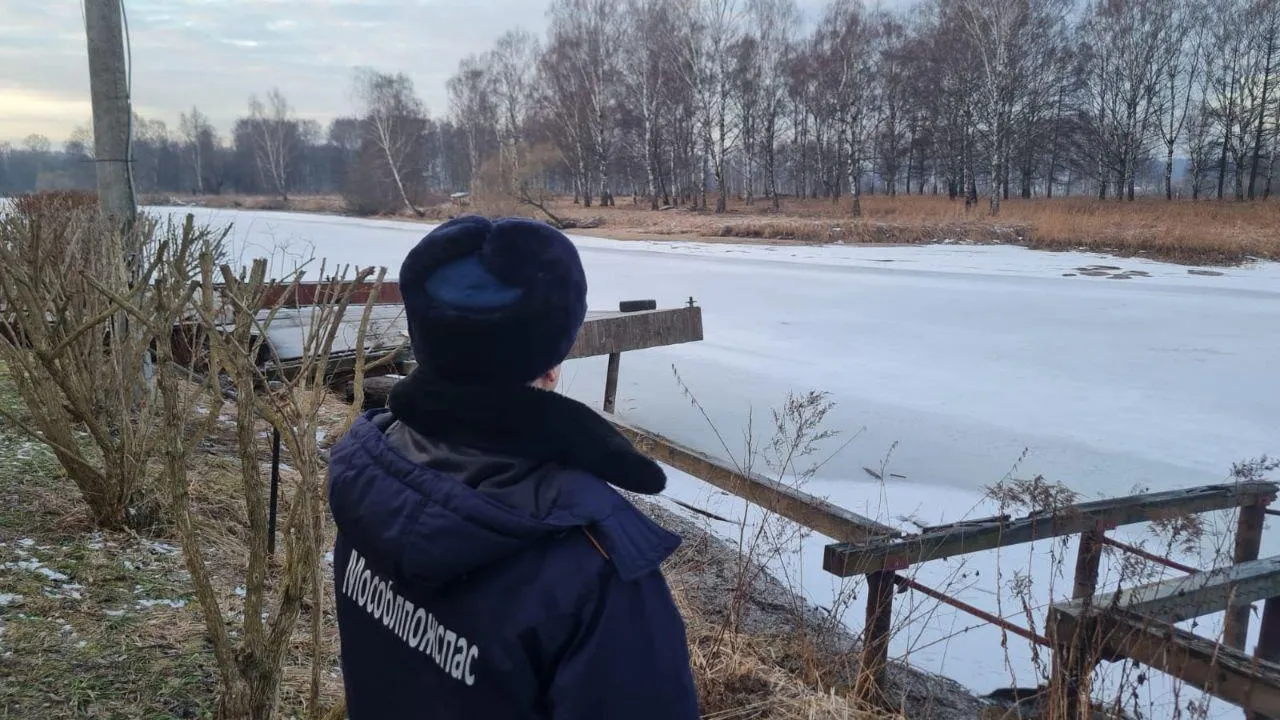 В Одинцовском округе за неделю приняли более 6 000 вызовов