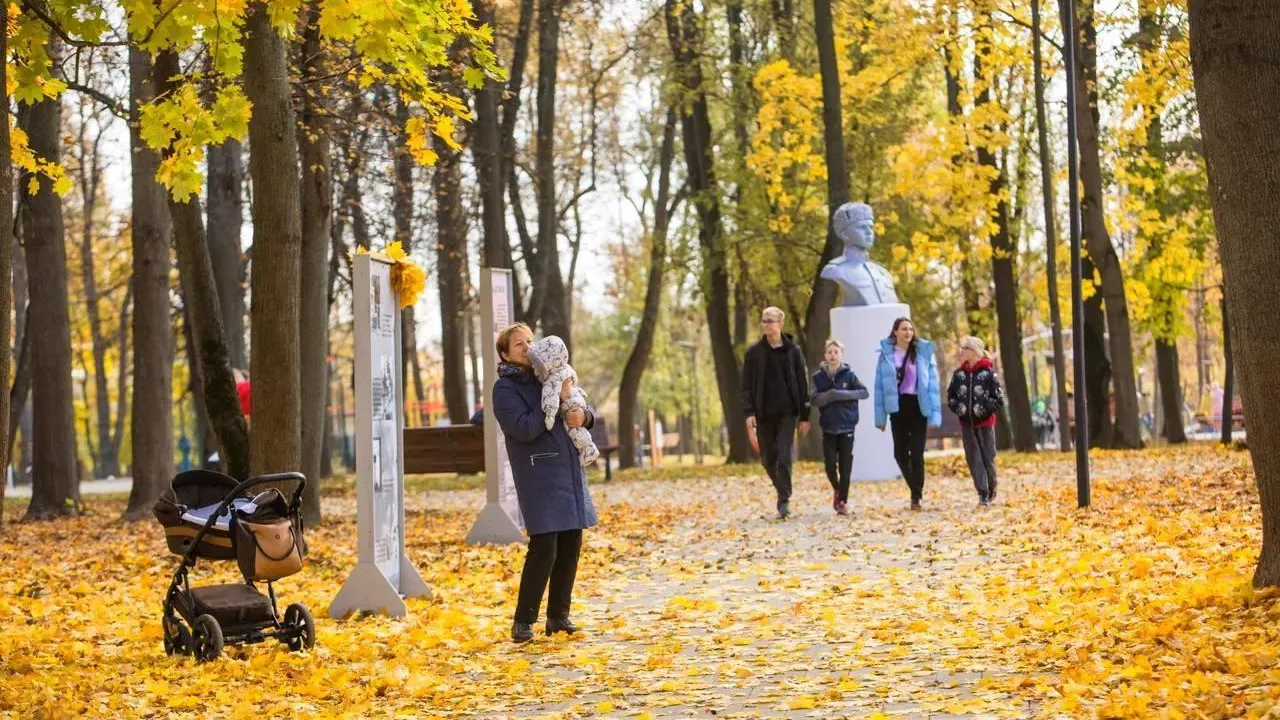 В Подмосковье за последние 5 лет наблюдается увеличение посещаемости парковых зон