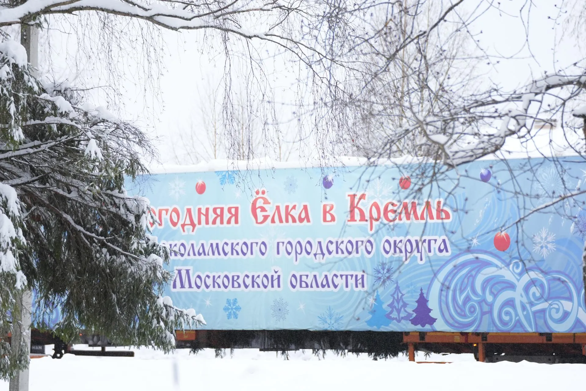 Александра Терец