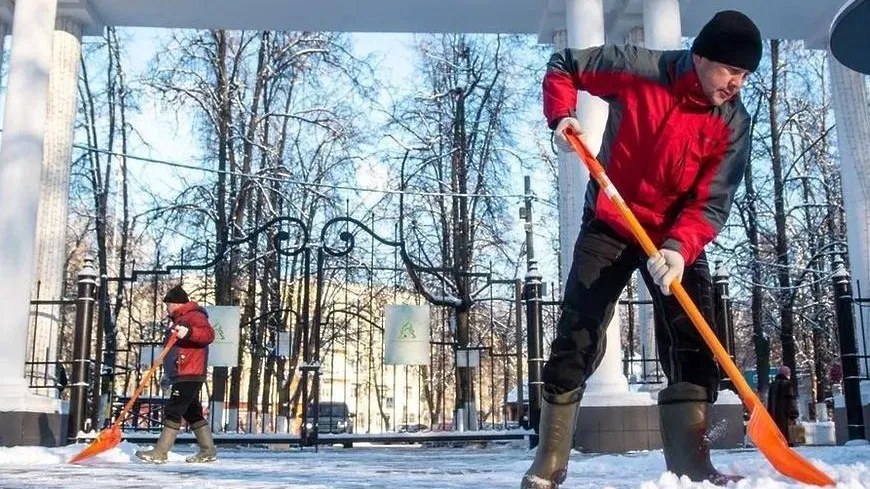 В подмосковных парках больше не будут бороться с гололедом с помощью реагентов