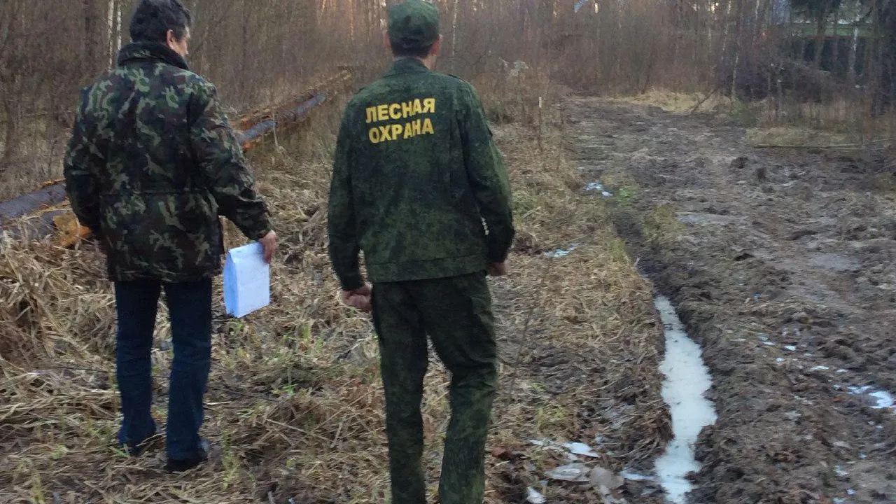 Свыше 600 патрулирований провели за минувшую неделю в лесах Подмосковья