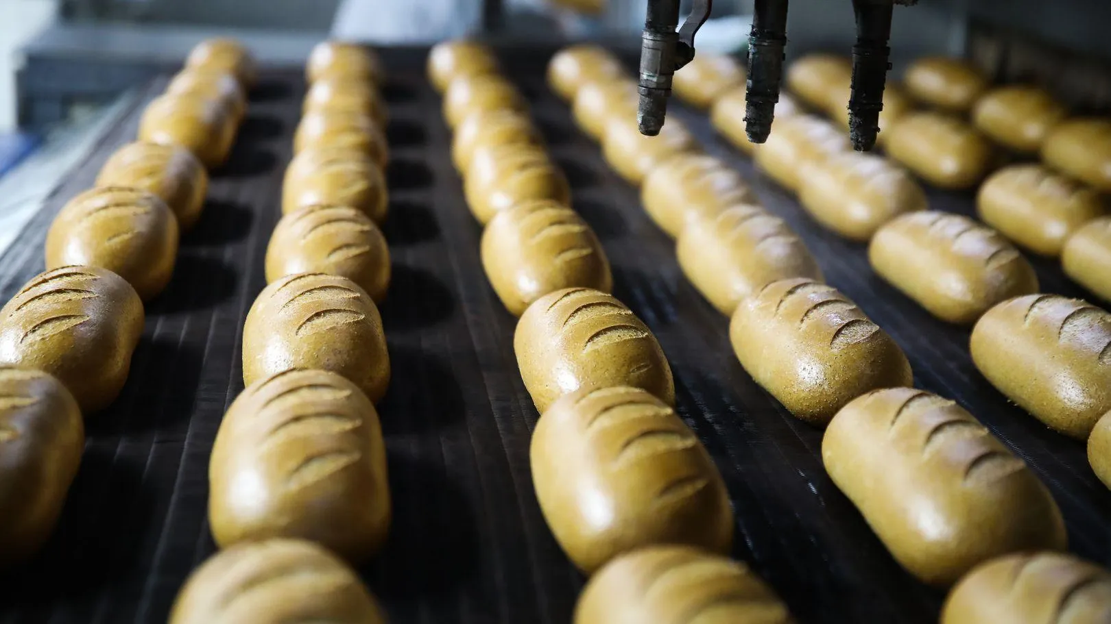 В Подмосковье с 1 апреля введут новый ГОСТ на белый хлеб