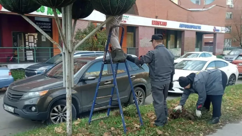 В Химках начали готовить городские цветники к зиме