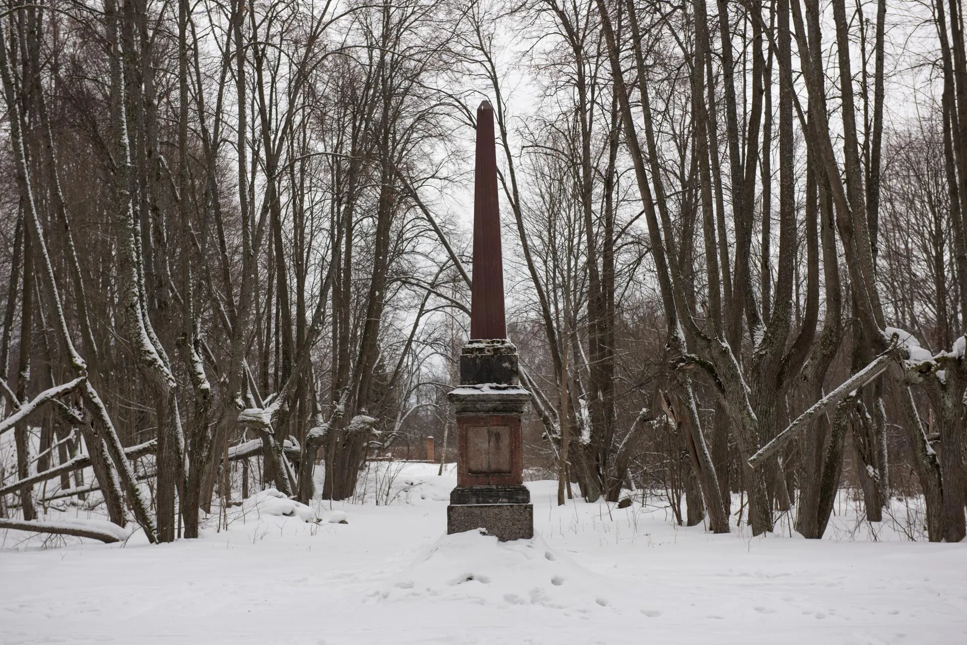 Александр Манзюк