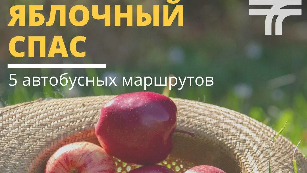 В Подмосковье добраться на празднование Яблочного Спаса можно на общественном транспорте