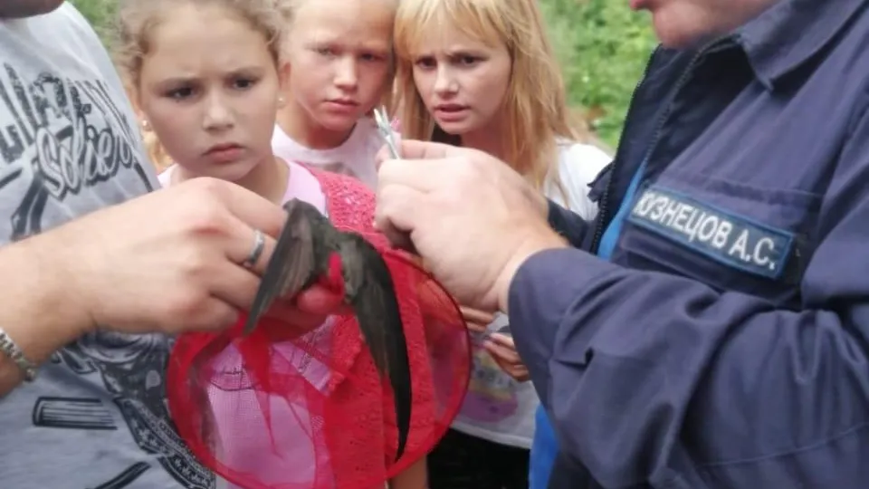 Пожарные спасли ласточку, запутавшуюся в леске в Луховицах