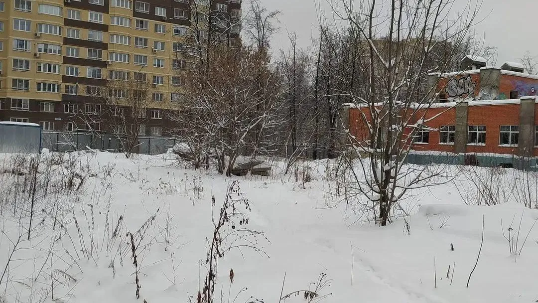 Жителям улицы Селезнева в Мытищах рассказали, как можно сообщать о бездомных собаках