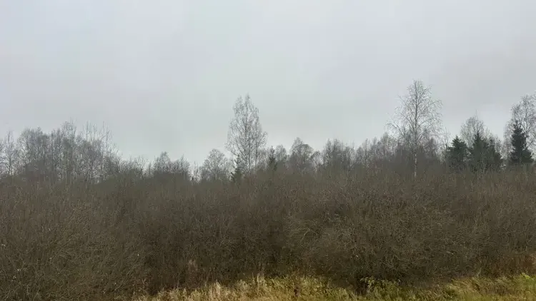 В Подмосковье выставили на торги 159 объектов за неделю марта