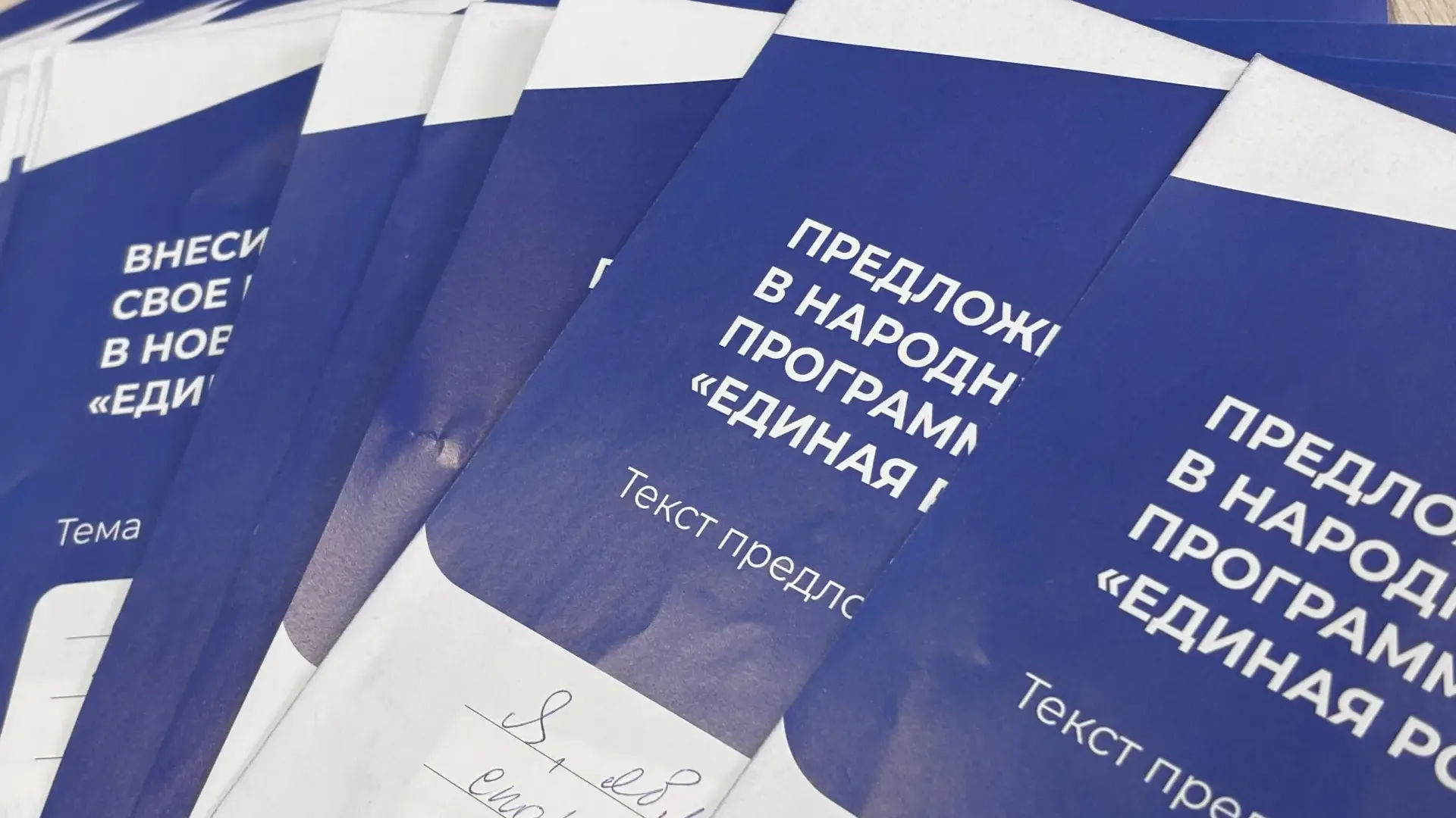 Жители Зарайска направили более 1 тыс наказов в программу «Единой России»