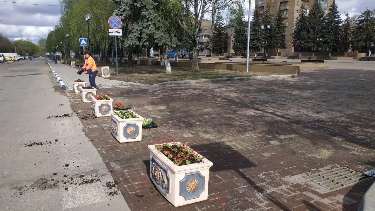 В микрорайоне Климовск Подольска зафиксировали случаи кражи саженцев цветов с клумб