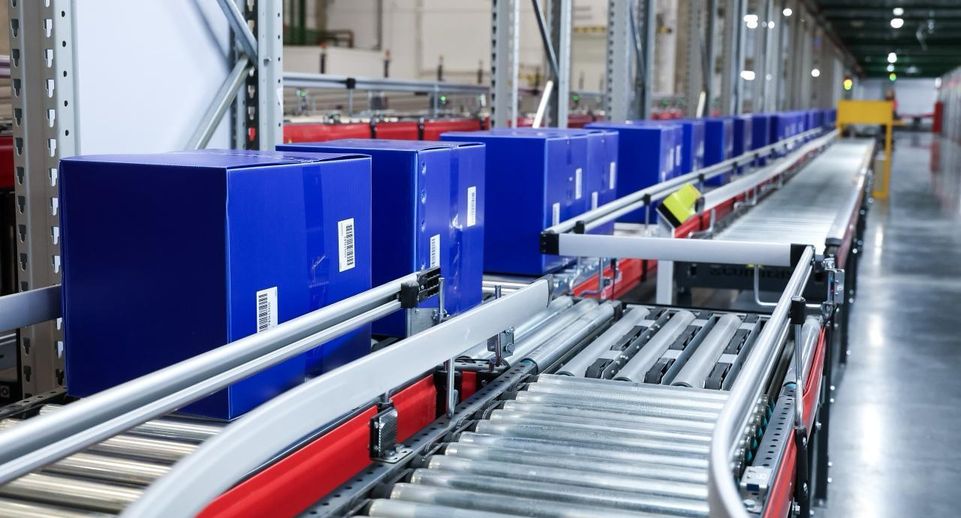 Экспорт продукции переработки фруктов и орехов в Подмосковье вырос на 8% в 2025 г