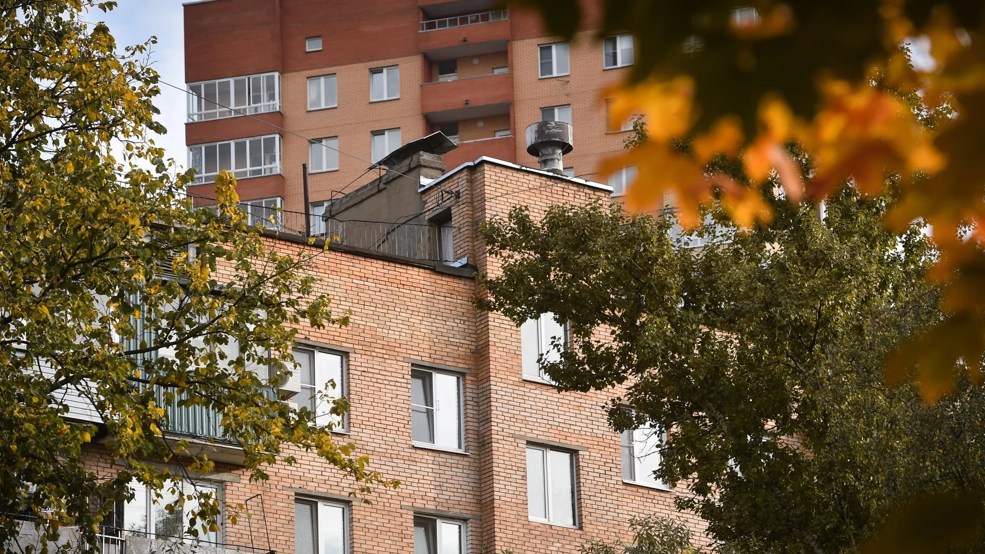 Самая маленькая квартира в Подмосковье: сколько стоит бывшая кладовка