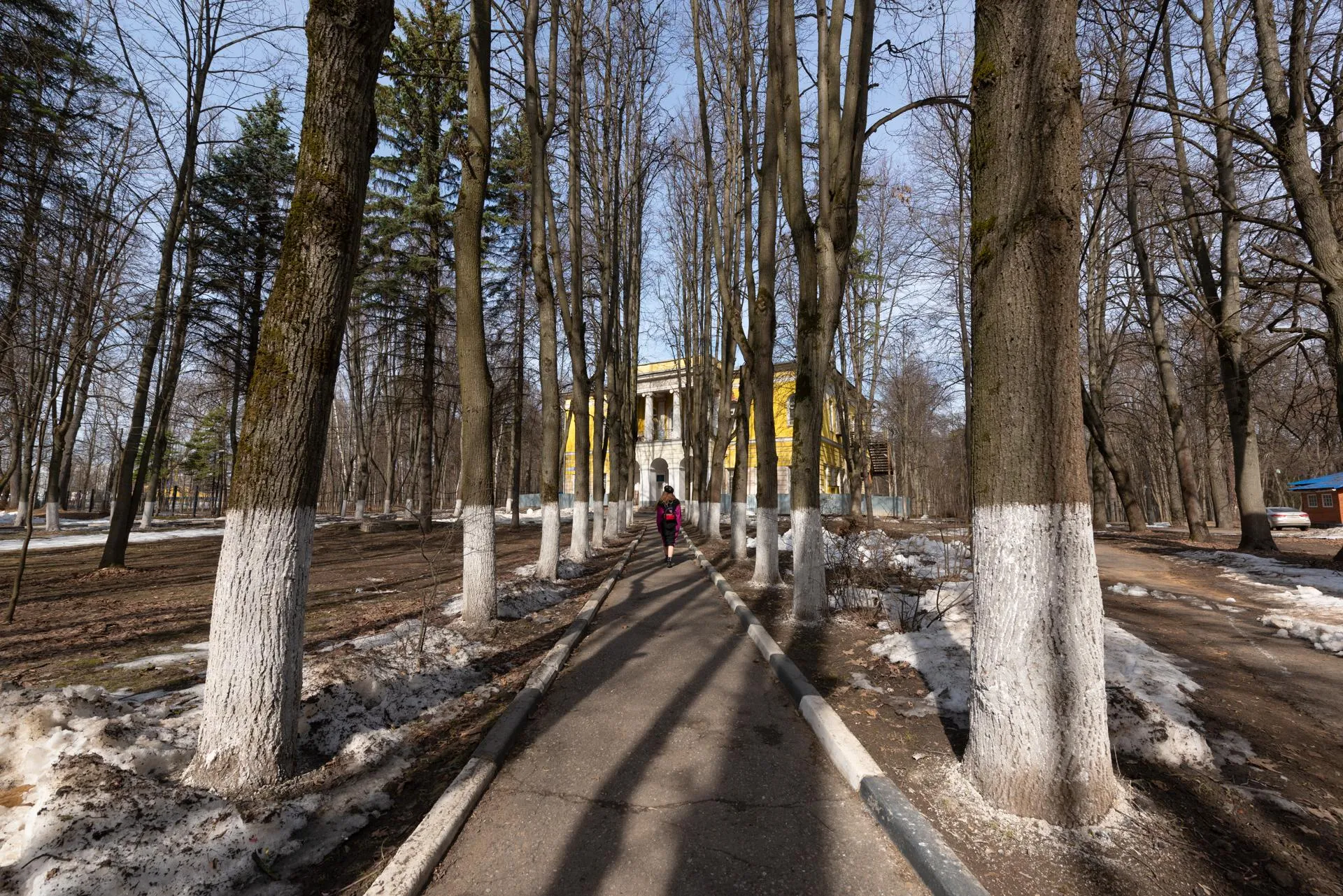 Александр Манзюк