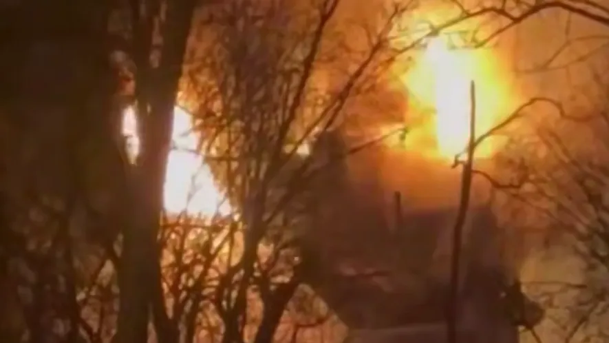 Полыхает открытым пламенем: во Владивостоке горит зоопарк