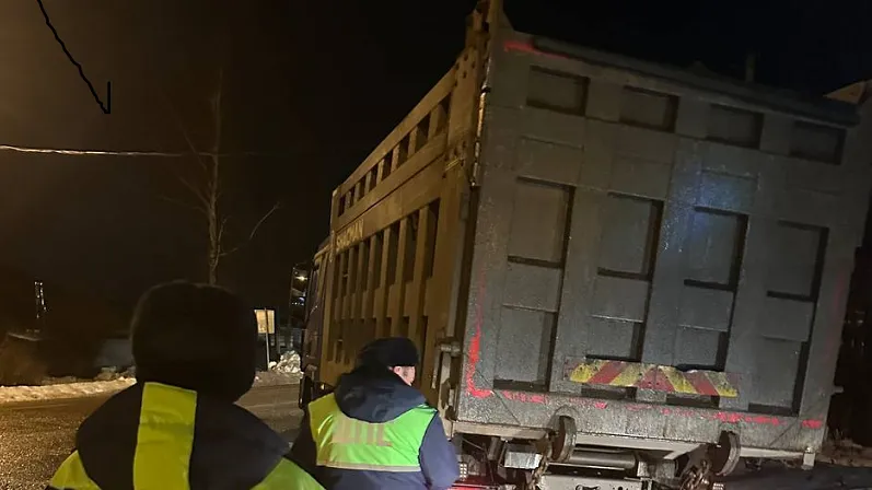 Незаконные перевозчики строймусора в Рузе не смогли оспорить наказание Минэкологии