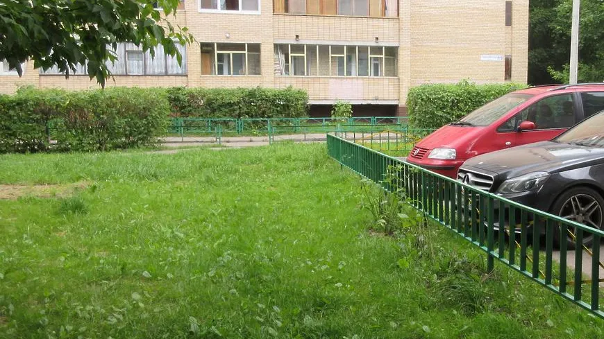 Более 50 газонов привели в порядок в Люберцах после зимы