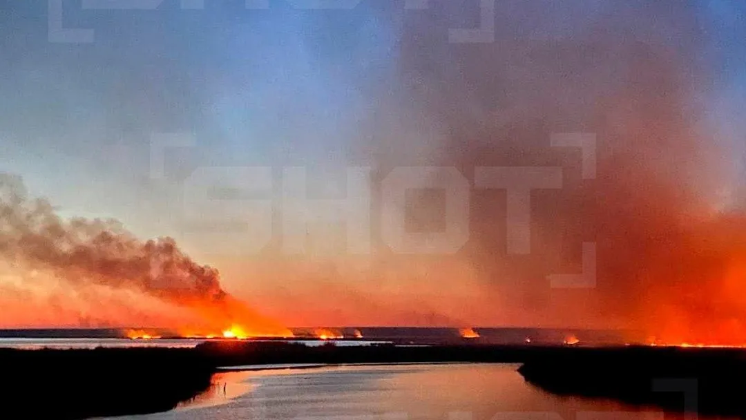 Опубликованы кадры мощного природного пожара в Краснодарском крае