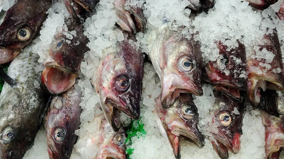 Комплекс по переработке рыбной продукции и икры построят в Одинцове